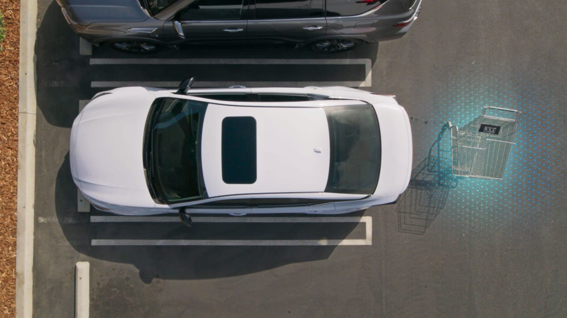 2026 Nissan Altima | Wallace Nissan of Kingsport in Kingsport, TN